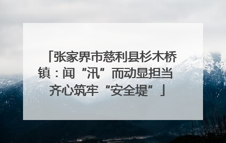 张家界市慈利县杉木桥镇：闻“汛”而动显担当 齐心筑牢“安全堤”