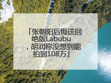 张朝阳后悔送回绝版Labubu，胡润称没想到能拍到108万