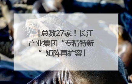 总数27家！长江产业集团“专精特新”矩阵再扩容