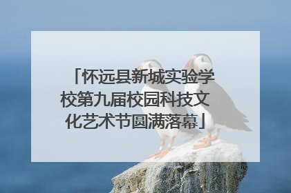 怀远县新城实验学校第九届校园科技文化艺术节圆满落幕
