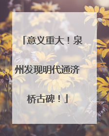 意义重大！泉州发现明代通济桥古碑！