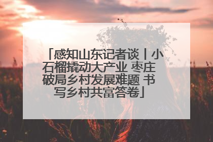 感知山东记者谈丨小石榴撬动大产业 枣庄破局乡村发展难题 书写乡村共富答卷
