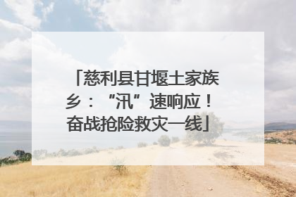 慈利县甘堰土家族乡：“汛”速响应！奋战抢险救灾一线
