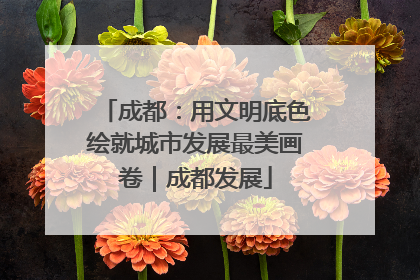 成都：用文明底色绘就城市发展最美画卷｜成都发展