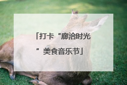 打卡“廊洽时光”美食音乐节