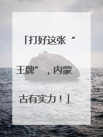 打好这张“王牌”，内蒙古有实力！