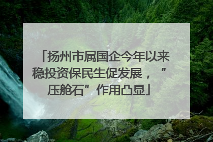 扬州市属国企今年以来稳投资保民生促发展，“压舱石”作用凸显