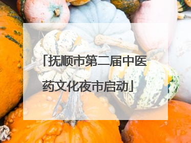 抚顺市第二届中医药文化夜市启动