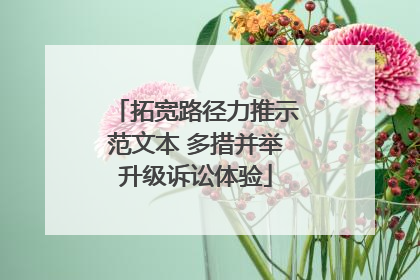 拓宽路径力推示范文本 多措并举升级诉讼体验