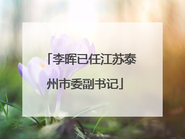 李晖已任江苏泰州市委副书记