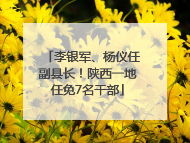 李银军、杨仪任副县长！陕西一地任免7名干部