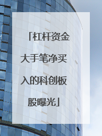杠杆资金大手笔净买入的科创板股曝光