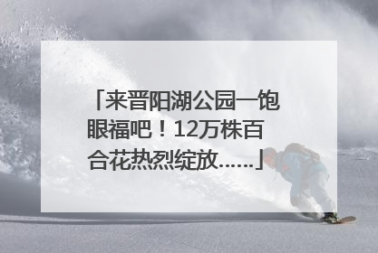 来晋阳湖公园一饱眼福吧！12万株百合花热烈绽放……
