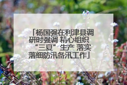 杨国强在利津县调研时强调 精心组织“三夏”生产 落实落细防汛备汛工作