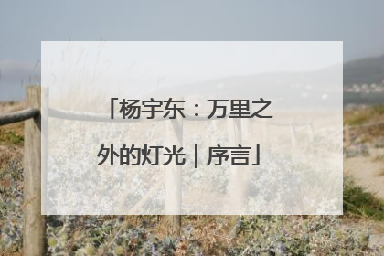 杨宇东：万里之外的灯光｜序言