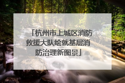 杭州市上城区消防救援大队绘就基层消防治理新图景