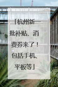 杭州新一批补贴、消费券来了！包括手机、平板等