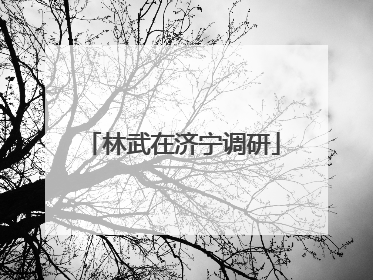 林武在济宁调研