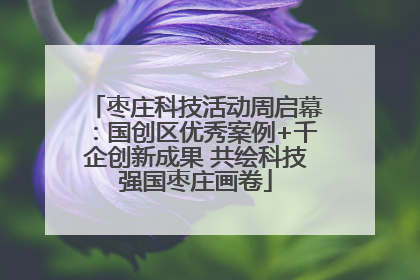 枣庄科技活动周启幕：国创区优秀案例+千企创新成果 共绘科技强国枣庄画卷