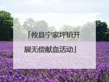 攸县宁家坪镇开展无偿献血活动
