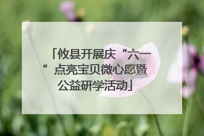 攸县开展庆“六一”点亮宝贝微心愿暨公益研学活动
