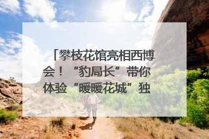 攀枝花馆亮相西博会！“豹局长”带你体验“暖暖花城”独特魅力｜西博视界