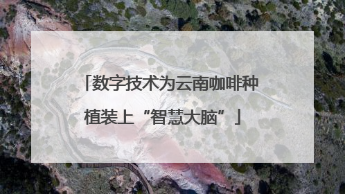 数字技术为云南咖啡种植装上“智慧大脑”