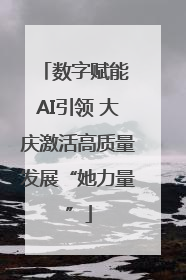 数字赋能 AI引领 大庆激活高质量发展“她力量”