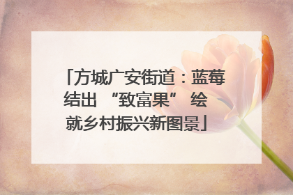 方城广安街道：蓝莓结出 “致富果” 绘就乡村振兴新图景