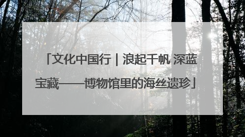 文化中国行｜浪起千帆 深蓝宝藏——博物馆里的海丝遗珍
