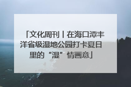 文化周刊丨在海口潭丰洋省级湿地公园打卡夏日里的“湿”情画意