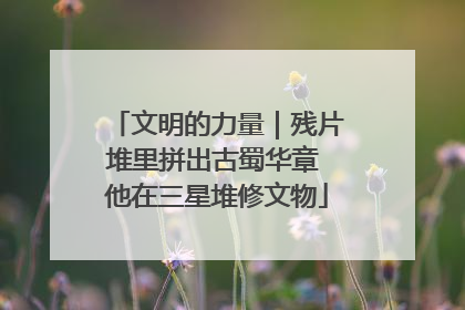文明的力量｜残片堆里拼出古蜀华章 他在三星堆修文物