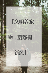 文明养宠物，蔚然树新风
