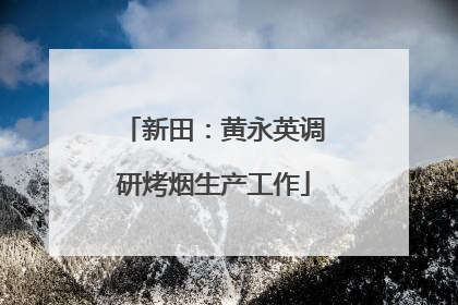 新田：黄永英调研烤烟生产工作
