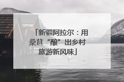新疆阿拉尔：用桑葚“酿”出乡村旅游新风味