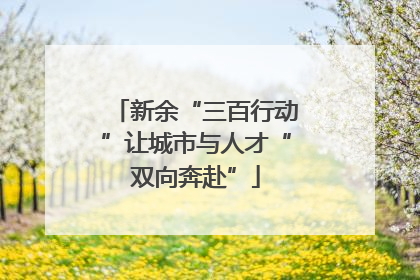 新余“三百行动”让城市与人才“双向奔赴”
