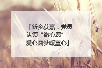 新乡获嘉：党员认领“微心愿” 爱心圆梦暖童心