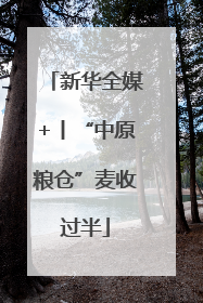 新华全媒+丨“中原粮仓”麦收过半