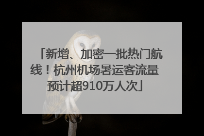 新增、加密一批热门航线！杭州机场暑运客流量预计超910万人次