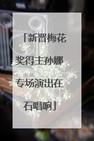 新晋梅花奖得主孙娜专场演出在石唱响