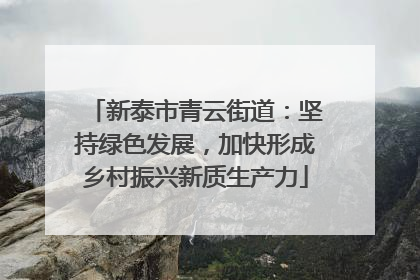 新泰市青云街道：坚持绿色发展，加快形成乡村振兴新质生产力