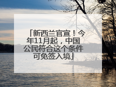 新西兰官宣！今年11月起，中国公民符合这个条件可免签入境