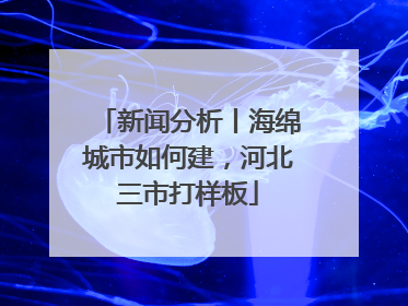 新闻分析丨海绵城市如何建，河北三市打样板