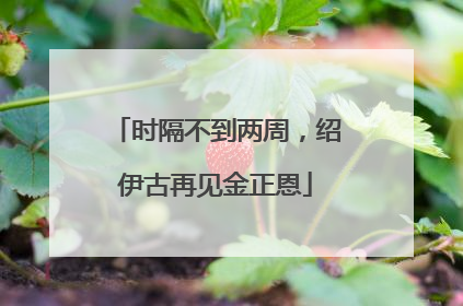 时隔不到两周，绍伊古再见金正恩
