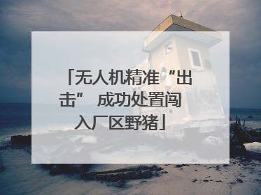 无人机精准“出击” 成功处置闯入厂区野猪