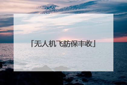 无人机飞防保丰收