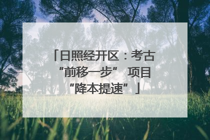 日照经开区：考古“前移一步” 项目“降本提速”