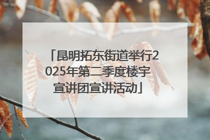 昆明拓东街道举行2025年第二季度楼宇宣讲团宣讲活动