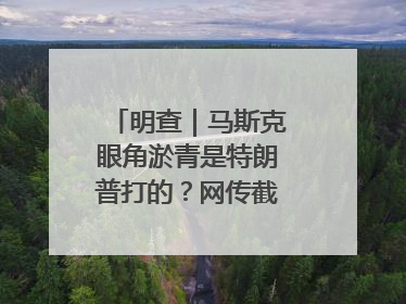 明查｜马斯克眼角淤青是特朗普打的？网传截图是“高仿”