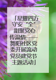 星耀四方守安“全” 甜聚党心传温情——舞阳社区党委开展流动党员建党节主题活动